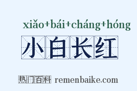 小白长红是什么意思的图片